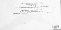 Pucciniastrum epilobii image